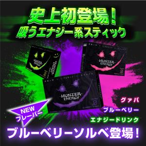 5のつく日セール 史上初登場 HUNTER ENERGY 吸うエナジー系スティック お試しセット 吸うエナジードリンク 加熱式 電子タバコ ニコチン0｜kiralink-store