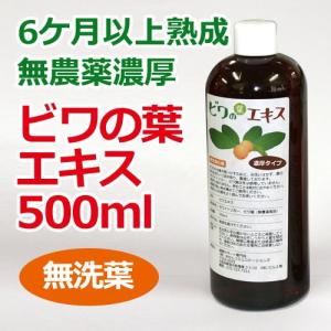 6ケ月以上熟成 無農薬ビワの葉エキス（無洗葉）500ml ※全国送料無料