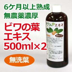 ビワエキス500ml2本 6ケ月以上熟成 無農薬濃厚ビワの葉エキス（無洗葉 濃厚タイプ）500ml