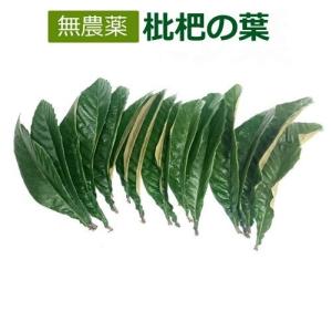 国産無農薬葉使用・びわ農家お手製わが家の常備薬！／早期発送 びわの
