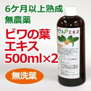6ケ月以上熟成 無農薬ビワの葉エキス(無洗葉)500ml ※全国送料 6ケ月以上熟成 無農薬ビワの葉エキス(無洗葉)500ml ※全国送料