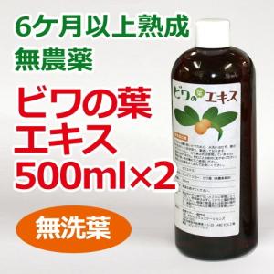 6ケ月以上熟成 無農薬ビワの葉エキス（無洗葉）500ml×2本セット 健康サポート専門店オリジナル【びわ葉エキス】 ※送料無料（一部地域を除く）