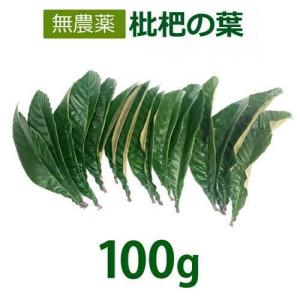 無農薬 枇杷の葉（びわの葉） 100g 【長崎・大分県産】※送料無料（一部地域を除く）｜kirarasizen