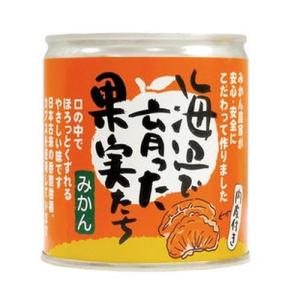 海辺で育った果実たち（みかん缶詰）（295g）