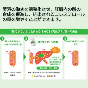 緑でサラナ 160g×60缶 ※全国送料無料 ...の詳細画像4