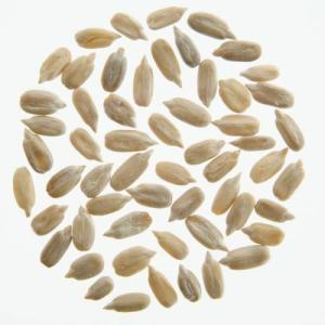 有機ひまわりの種・生(25kg)【アリサン】 ...の詳細画像1