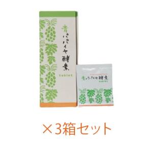 遠赤外線温熱ボディケアドーム 遠赤王「日だまり」 全国送料無料