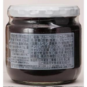 国内産ブルーベリージャム (200g) 【創健社】の詳細画像1
