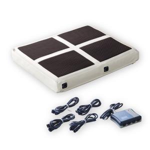 メーカー直送】レヴィーウェーブ80X（2本セット） 【生活科学研究会