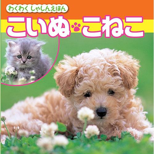 COSMOS コスモス わくわくしゃしんえほん こいぬ・こねこ CSS62043