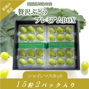 【送料無料】夏の贅沢ぶどう　プレミアムボックス　シャインマスカット　15粒２パック入り　産地直送　愛媛県産　ハウス栽培　お中元（7月下旬より発送）｜kirari-fruits-farm