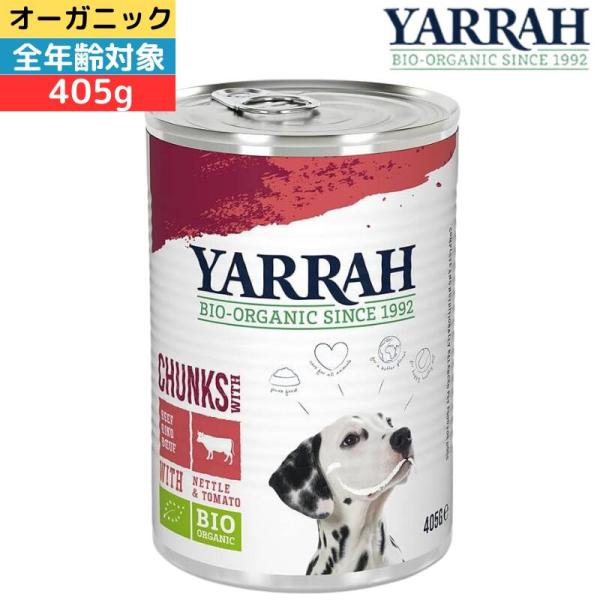 イシイ ヤラー ドッグディナービーフチャンク 缶 400g