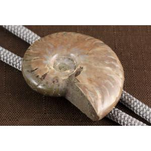 ループタイ ファイヤーアンモナイト