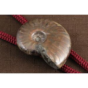 ループタイ ファイヤーアンモナイト