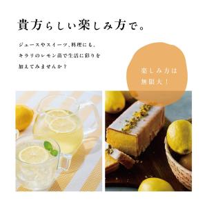 ピンクレモネード レモンの木 レモン 苗木 斑...の詳細画像4