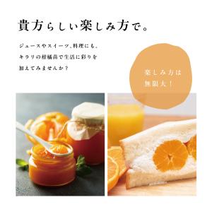 スイートスプリング【特等2年生苗木】苗木 みか...の詳細画像3