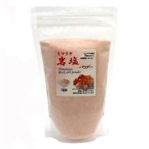 ヒマラヤ岩塩 ブラックソルト パウダー(食用)500g入 黒岩塩 ブラック