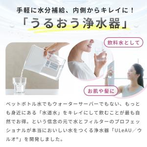 ポット型浄水器 イーテック ウルオ Etec ...の詳細画像2