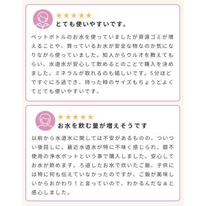ポット型浄水器 イーテック ウルオ Etec ...の詳細画像5