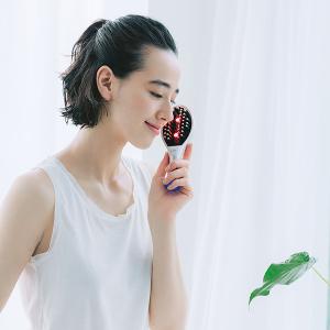 エイミー BEE BRUSH 電気ブラシ ブラシ エイミー ビーブラッシュ AiMY