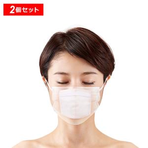 【最大10%クーポン】シルク100％ピタッッと抗菌インナーマスク 2枚セット 正規品 ギフト可