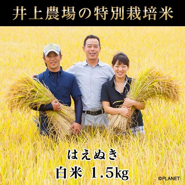 庄内米　山形県鶴岡市 井上農場の特別栽培米【はえぬき】白米1.5kg【令和5年新米】【送料無料】