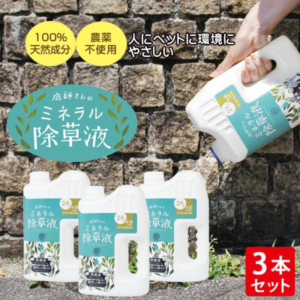 ドリーム 庭師さんのミネラル除草液 2L 3個セット 除草剤 無農薬 人畜無害 液体 雑草駆除剤 雑...