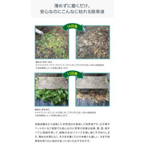 ドリーム 庭師さんのミネラル除草液 2L 3個...の詳細画像3