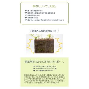 ドリーム 庭師さんのミネラル除草液 2L 3個...の詳細画像4