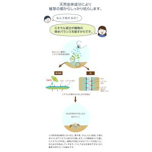 ドリーム 庭師さんのミネラル除草液 2L 3個...の詳細画像5