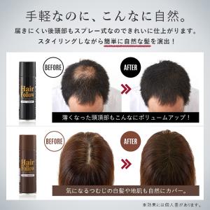 正規品 ヘアフォロースプレー ブラック 黒 薄...の詳細画像2