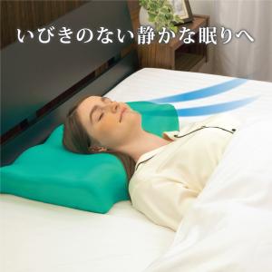 Derila Ergo専用 クールカバー 洗い替え用 単品 枕カバー 接触冷感 春