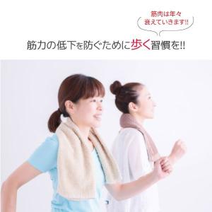 スパッツ 脚楽アシストサポートスパッツ テーピ...の詳細画像1