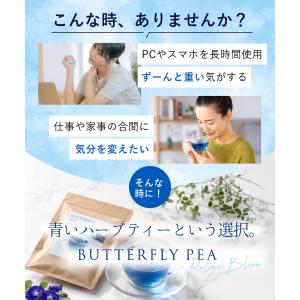 ZELOS バタフライピーティー 30包 ハー...の詳細画像2