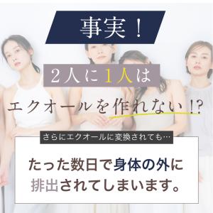 【公式】キレイデエクオール(60粒×2袋)イソ...の詳細画像4