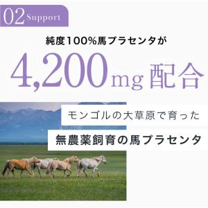 プラセンタ サプリ 馬プラセンタ 4200mg...の詳細画像5