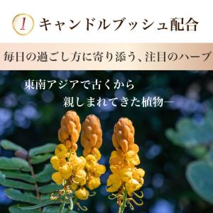 【公式】キレイデスリムティー ×1袋(30包入...の詳細画像5