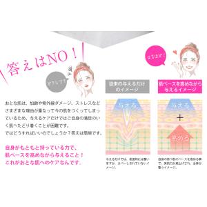 美顔器 ems エイジングケア リフトアップ【...の詳細画像4