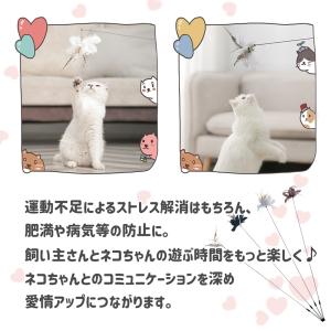 猫 おもちゃ 猫じゃらし 小鳥 天然羽 おもち...の詳細画像4