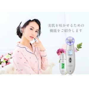 美顔器 セット 【NEWクラッシィ NEWスキ...の詳細画像2