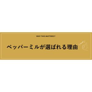 電動ミル ペッパーミル USB充電式 電動 手...の詳細画像2