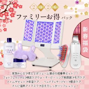 アムウェイ　EMSローラー アムウェイ アーティストリー ホームエスティシャン EMSローラー