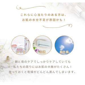 スチーマー フェイススチーマー バレンタイン ...の詳細画像5