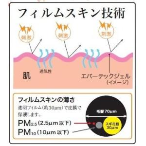 即納 エバーテックジェル ハンドクリーム 除菌...の詳細画像2