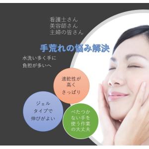 即納 エバーテックジェル ハンドクリーム 除菌...の詳細画像4