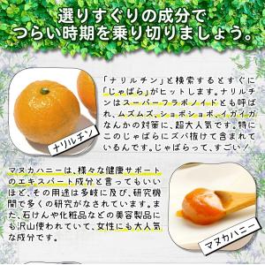 healthylife じゃばらガード タブレ...の詳細画像3