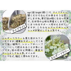 healthylife じゃばらガード タブレ...の詳細画像4