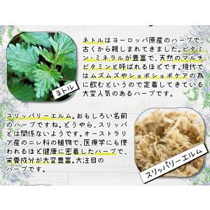 healthylife じゃばらガード タブレ...の詳細画像5