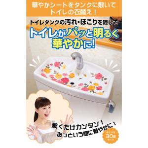 3柄セット トイレの汚れ隠しフィルム 30枚入...の詳細画像2