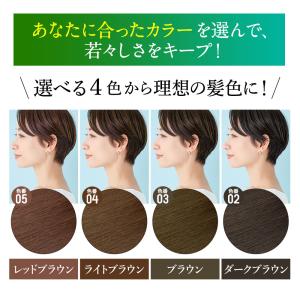 白髪染め マルベールロイヤルカラーEXプラス【...の詳細画像3